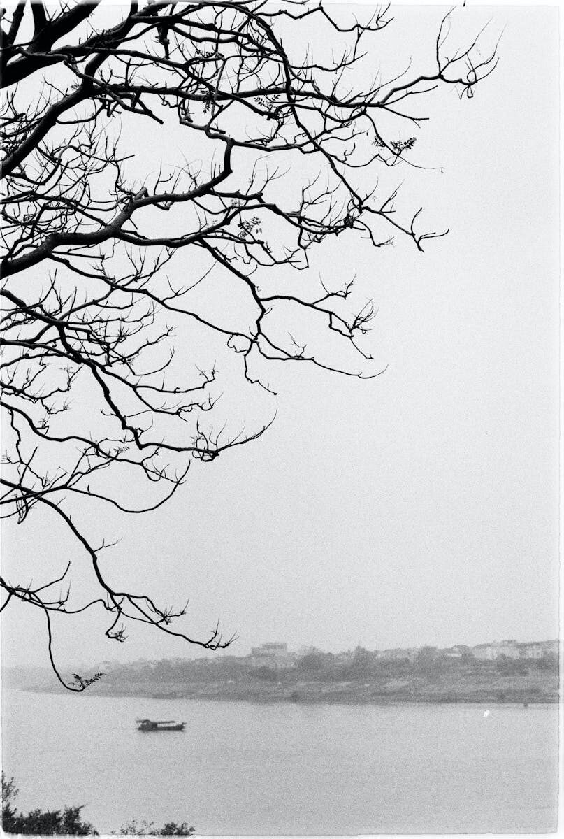 Device Safety Regulations